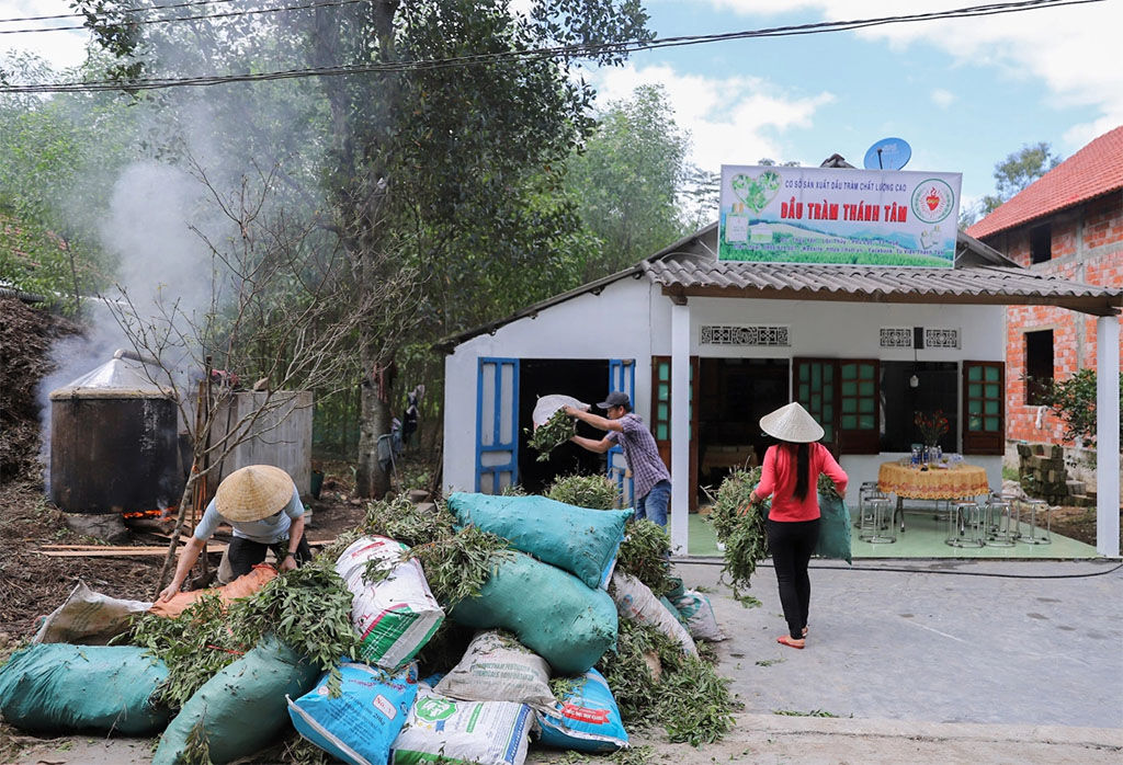 Immerse in Vietnam’s vibrant cultural heritage